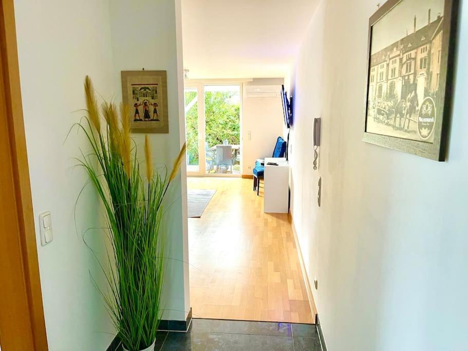 Schoene Wohnung Mit Eigenen Eingang Und Terrasse Gosseling Exterior photo